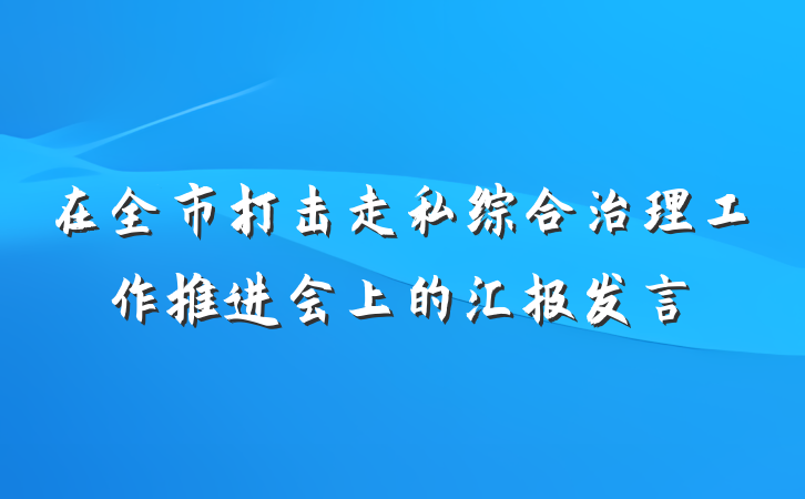 在全市打击走私综合治理工作推进会上的汇报发言