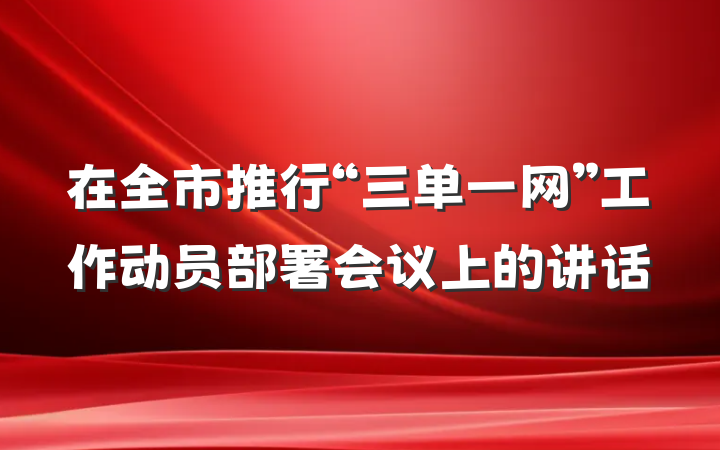 在全市推行“三单一网”工作动员部署会议上的讲话