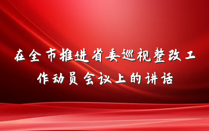 在全市推进省委巡视整改工作动员会议上的讲话
