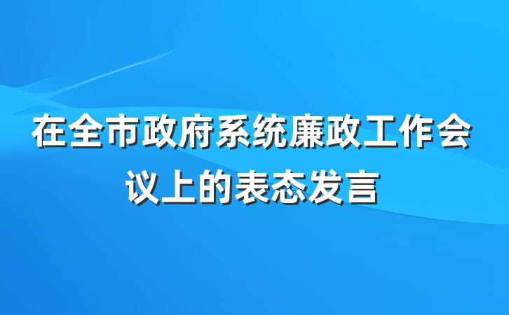 在全市政府系统廉政工作会议上的表态发言