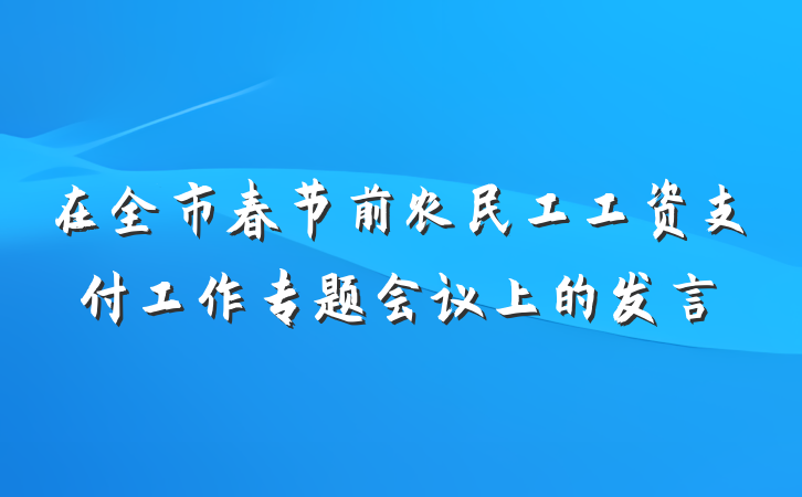 在全市春节前农民工工资支付工作专题会议上的发言