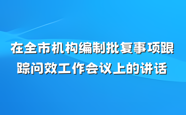 在全市机构编制批复事项跟踪问效工作会议上的讲话