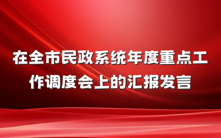 在全市民政系统年度重点工作调度会上的汇报发言