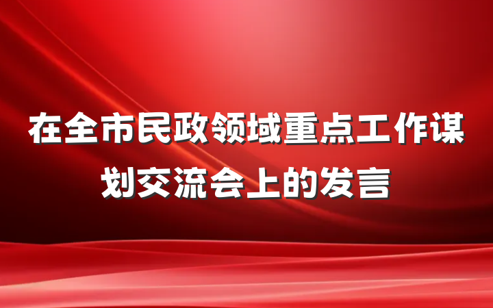 在全市民政领域重点工作谋划交流会上的发言
