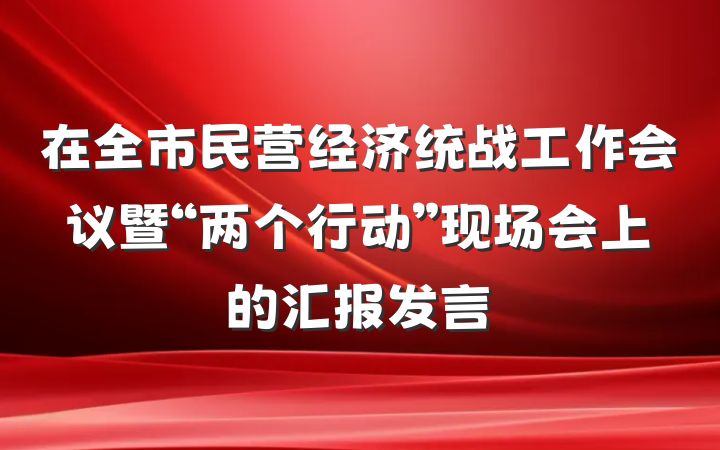 在全市民营经济统战工作会议暨“两个行动”现场会上的汇报发言