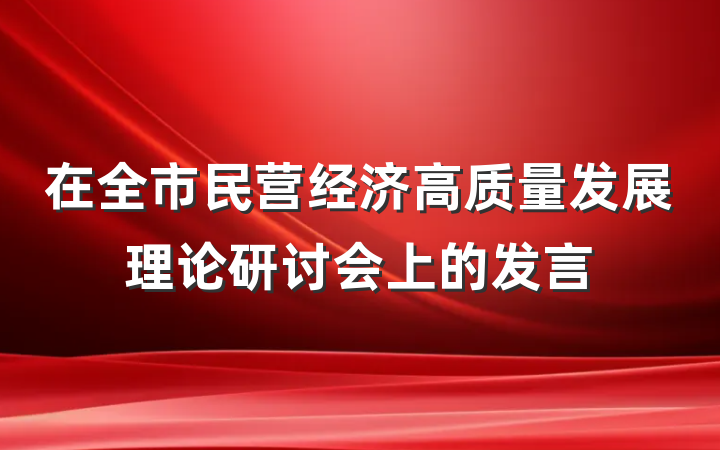 在全市民营经济高质量发展理论研讨会上的发言
