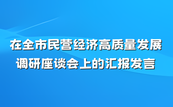 在全市民营经济高质量发展调研座谈会上的汇报发言