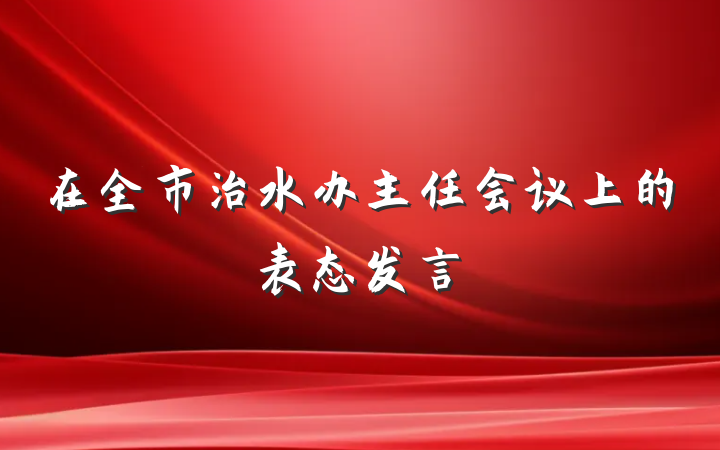 在全市治水办主任会议上的表态发言