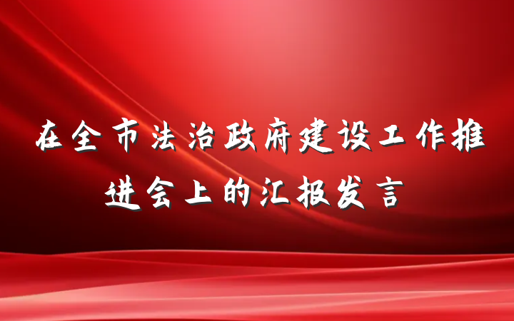 在全市法治政府建设工作推进会上的汇报发言