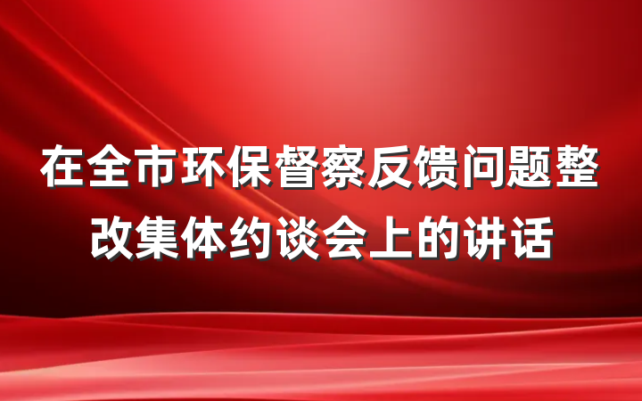 在全市环保督察反馈问题整改集体约谈会上的讲话