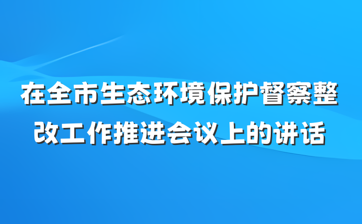 在全市生态环境保护督察整改工作推进会议上的讲话