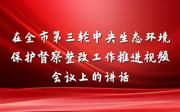 在全市第三轮中央生态环境保护督察整改工作推进视频会议上的讲话