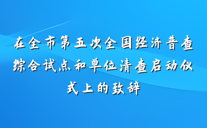 在全市第五次全国经济普查综合试点和单位清查启动仪式上的致辞