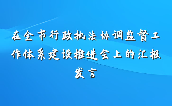 在全市行政执法协调监督工作体系建设推进会上的汇报发言