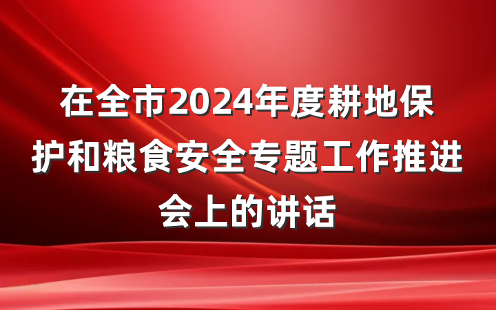 在全市2024年度耕地保护和粮食安全专题工作推进会上的讲话