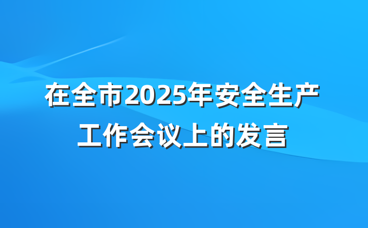 在全市2025年安全生产工作会议上的发言