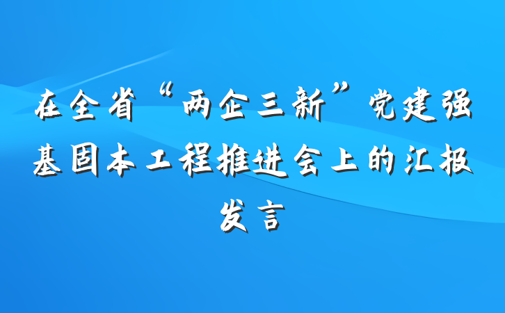 在全省“两企三新”党建强基固本工程推进会上的汇报发言