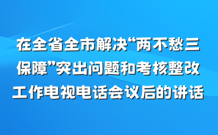在全省全市解决“两不愁三保障”突出问题和考核整改工作电视电话会议后的讲话