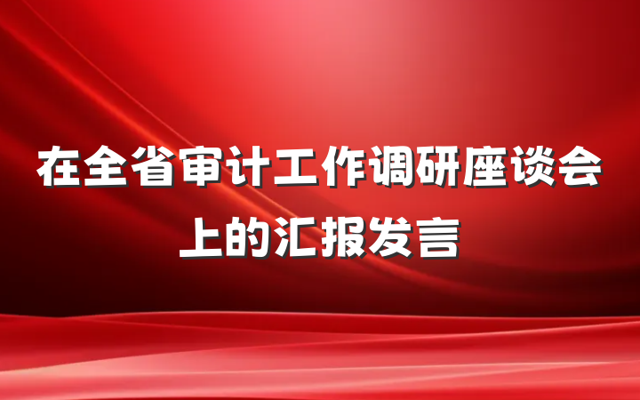 在全省审计工作调研座谈会上的汇报发言