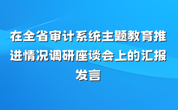 在全省审计系统主题教育推进情况调研座谈会上的汇报发言