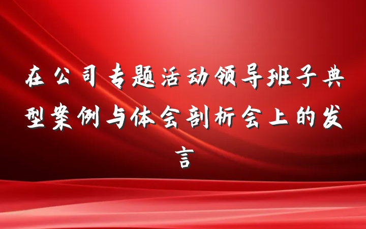 在公司专题活动领导班子典型案例与体会剖析会上的发言
