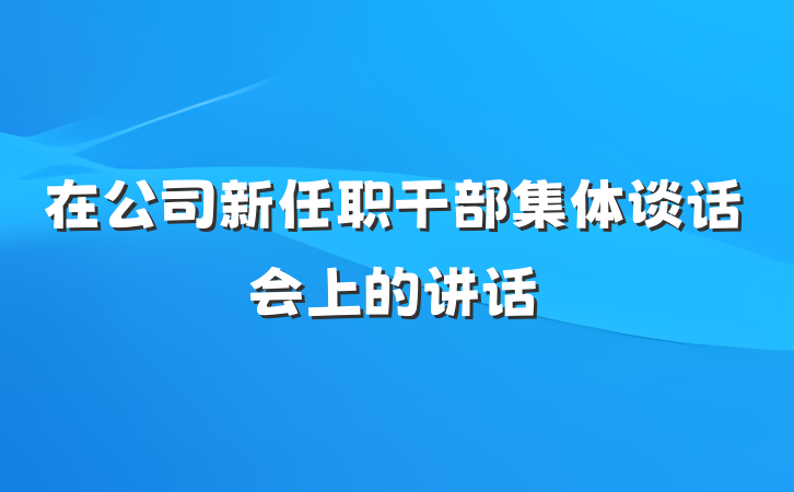 在公司新任职干部集体谈话会上的讲话