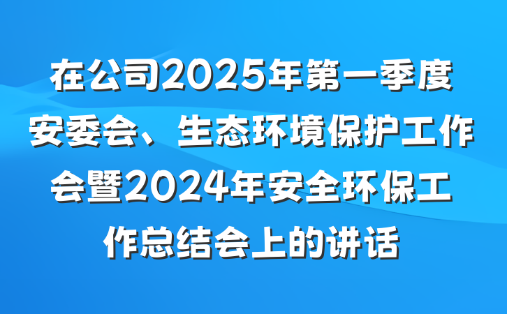 在公司2025年第一季度安委会、生态环境保护工作会暨2024年安全环保工作总结会上的讲话