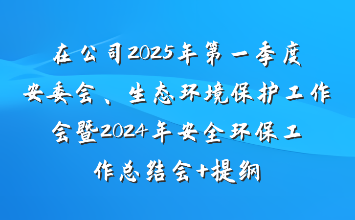 在公司2025年第一季度安委会、生态环境保护工作会暨2024年安全环保工作总结会 提纲