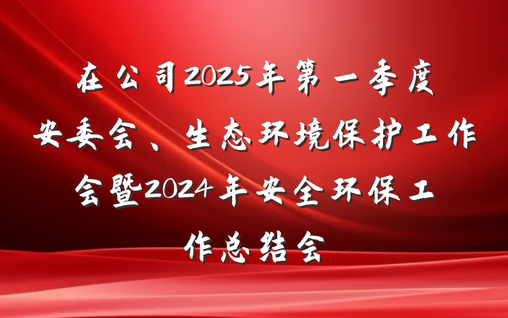 在公司2025年第一季度安委会、生态环境保护工作会暨2024年安全环保工作总结会