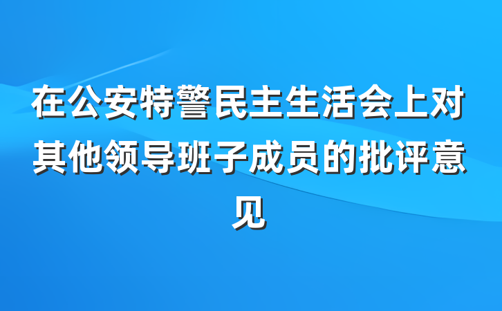 在公安特警民主生活会上对其他领导班子成员的批评意见