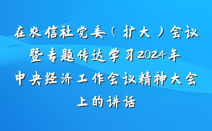 在农信社党委（扩大）会议暨专题传达学习2024年中央经济工作会议精神大会上的讲话