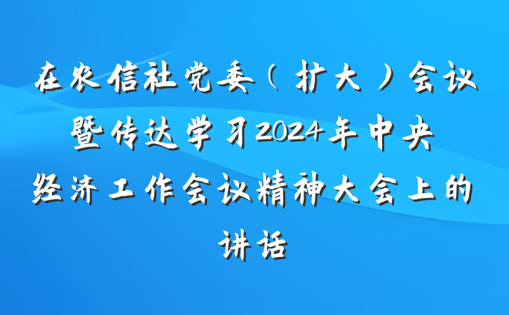 在农信社党委（扩大）会议暨传达学习2024年中央经济工作会议精神大会上的讲话