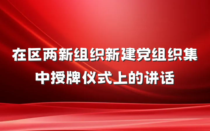 在区两新组织新建党组织集中授牌仪式上的讲话