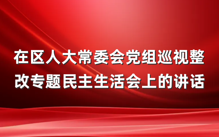 在区人大常委会党组巡视整改专题民主生活会上的讲话