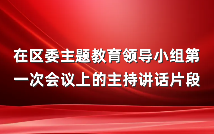 在区委主题教育领导小组第一次会议上的主持讲话片段