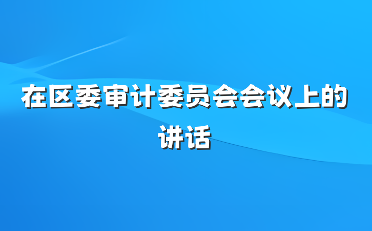 在区委审计委员会会议上的讲话