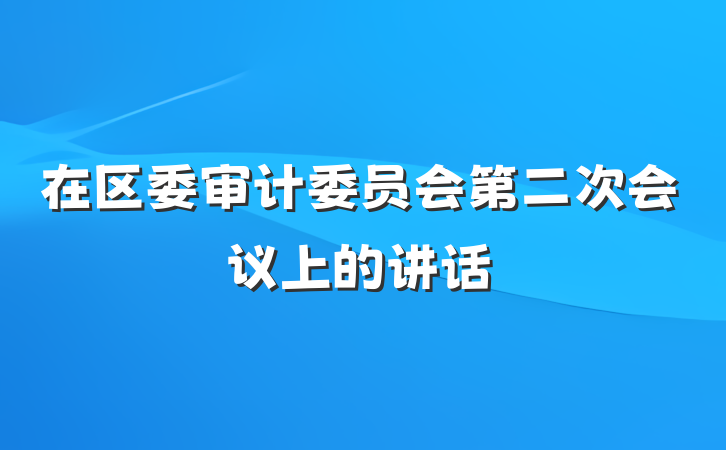 在区委审计委员会第二次会议上的讲话