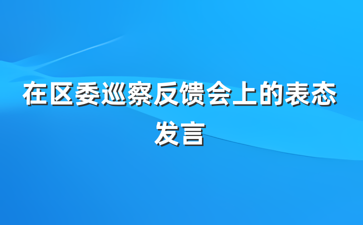 在区委巡察反馈会上的表态发言