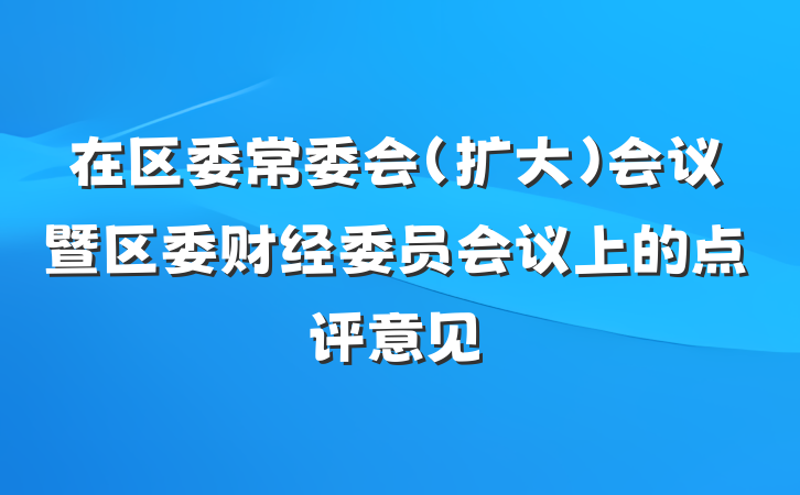 在区委常委会（扩大）会议暨区委财经委员会议上的点评意见