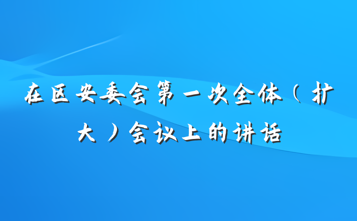 在区安委会第一次全体(扩大)会议上的讲话