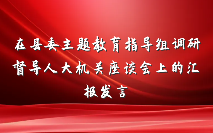 在县委主题教育指导组调研督导人大机关座谈会上的汇报发言