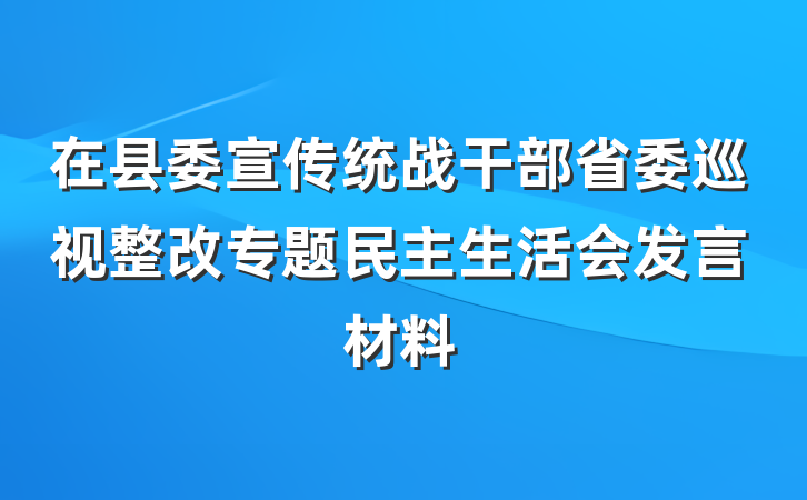 在县委宣传统战干部省委巡视整改专题民主生活会发言材料