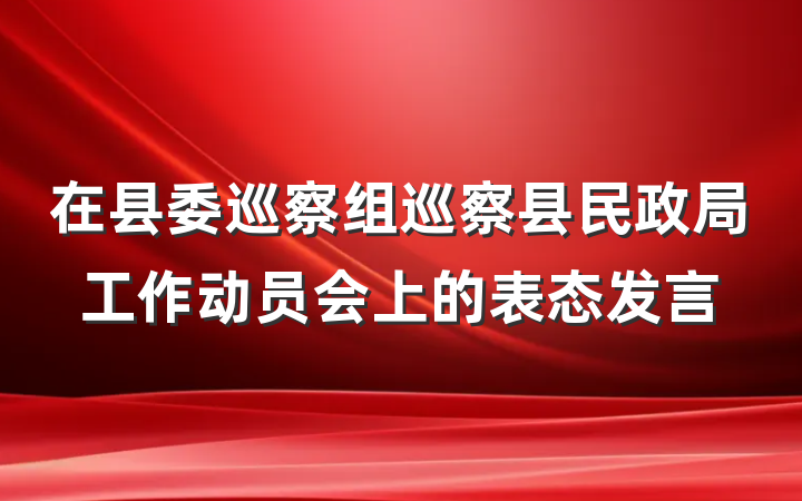 在县委巡察组巡察县民政局工作动员会上的表态发言