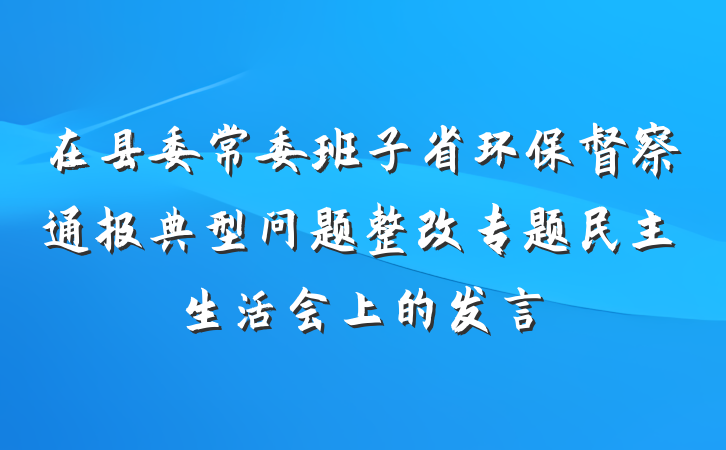 在县委常委班子省环保督察通报典型问题整改专题民主生活会上的发言