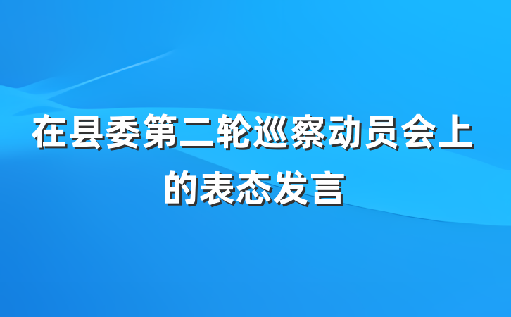 在县委第二轮巡察动员会上的表态发言