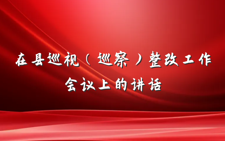 在县巡视（巡察）整改工作会议上的讲话