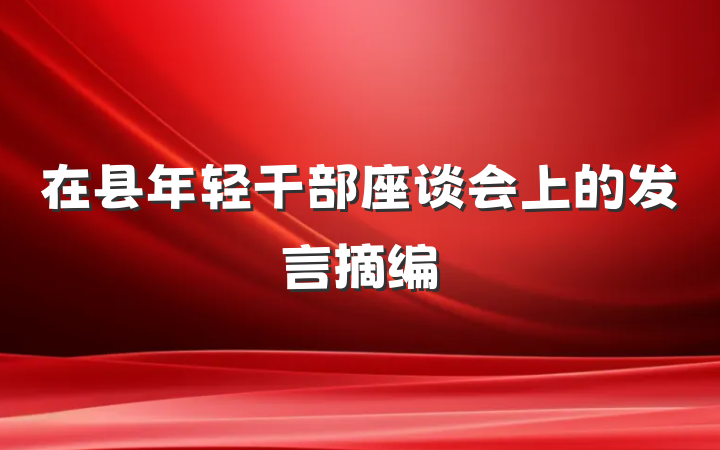 在县年轻干部座谈会上的发言摘编