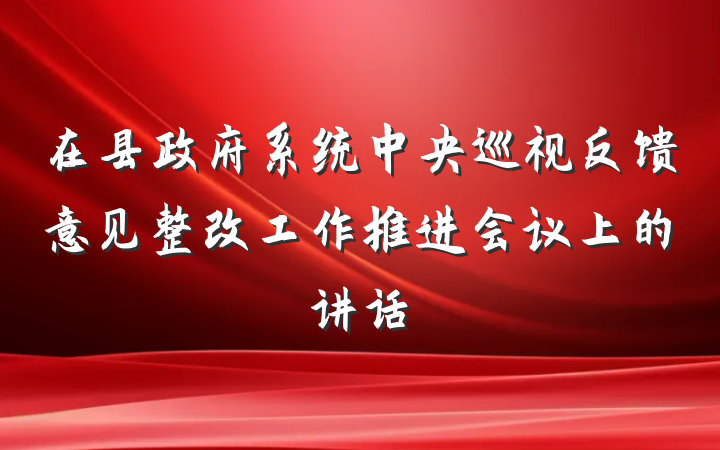 在县政府系统中央巡视反馈意见整改工作推进会议上的讲话