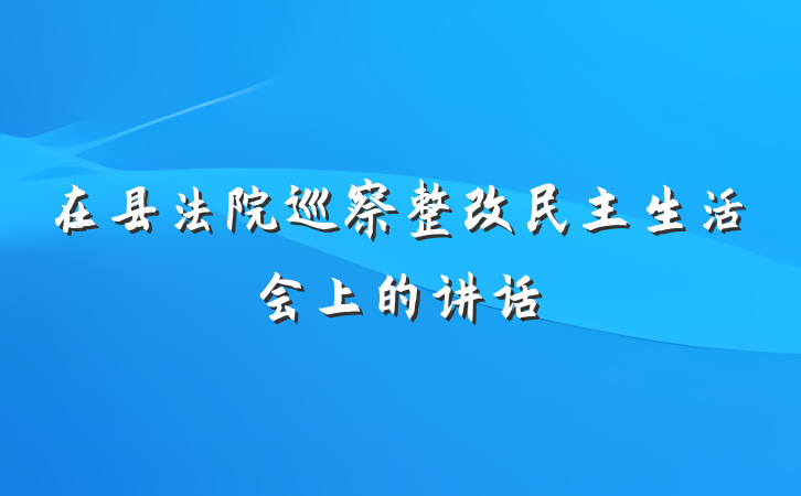 在县法院巡察整改民主生活会上的讲话