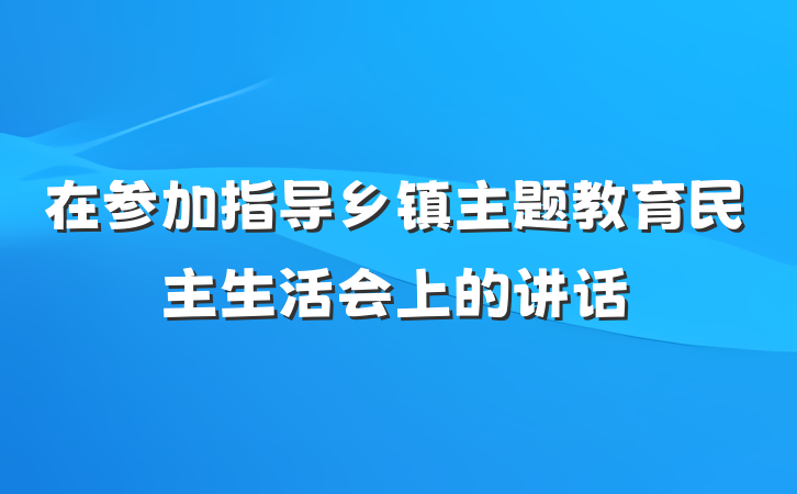 在参加指导乡镇主题教育民主生活会上的讲话